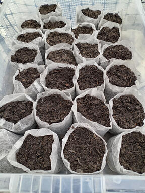 Cloth pots prepared with soil cloth pots with soil ready prepared for seedlings.