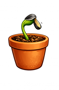 seedling in a terracotta pot seedling plant pot