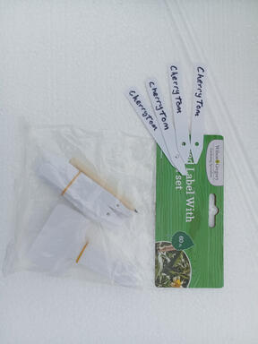 plant name sticks ready for each pot of seedlings
